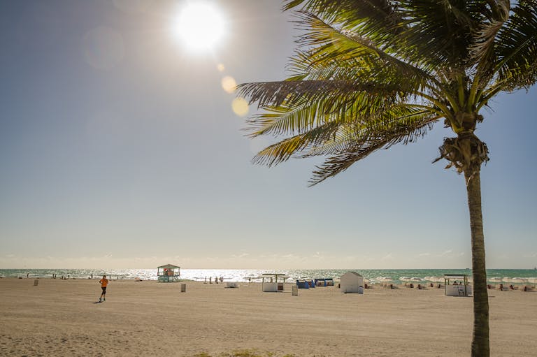 A clear and bright beach day with palm trees, blue ocean, and sunny skies.