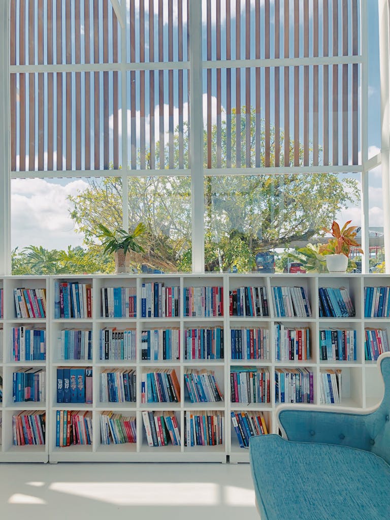Sunny library with bookshelves and a window view of nature.