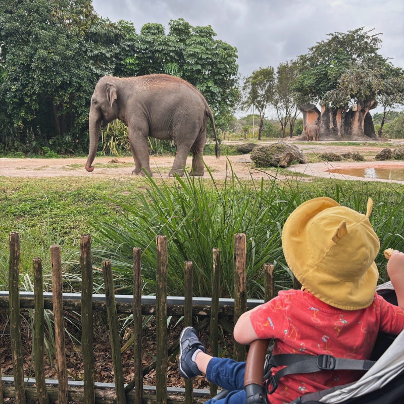 Things To Do With Kids In Miami This Weekend